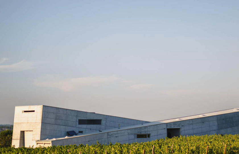Adega Quinta da Teixuga, Nelas